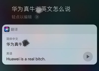 蘋果Siri曝侮辱性翻譯引眾怒及技術(shù)倫理的沉重邊界